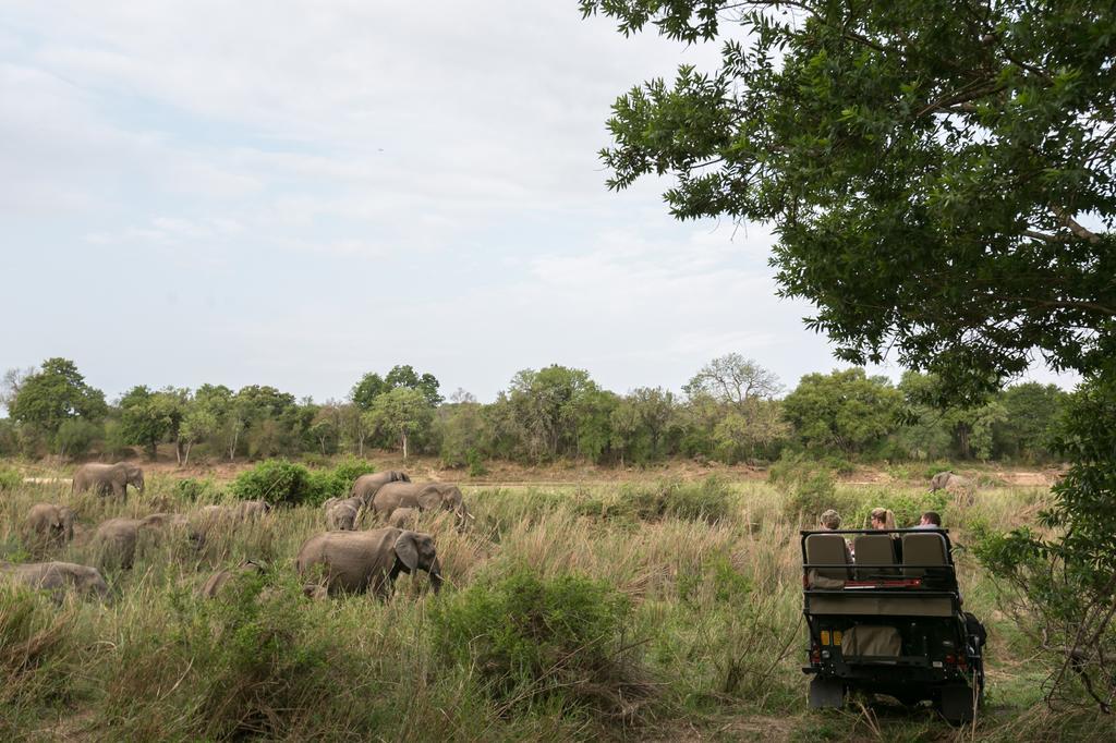 Umkumbe Safari Lodge Mbombela Buitenkant foto